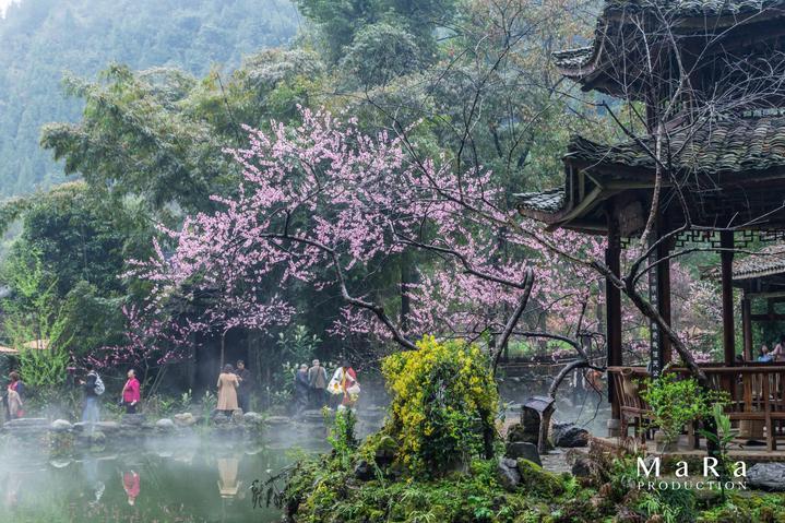 攀登高楼